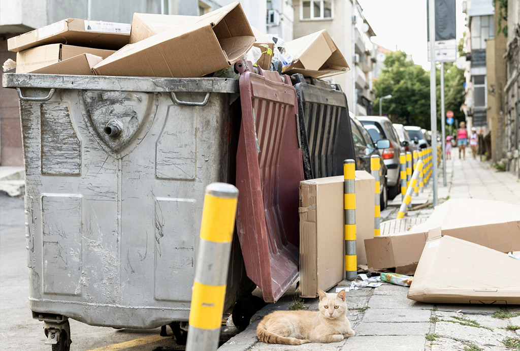 Reciclarea molozului nu mai este opțională: ce spune legea, ce amenzi riști și cum poți simplifica procesul?
